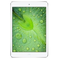iPad Mini 2