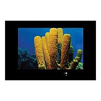 AquaView 55 Smart TV