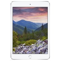 iPad Mini 3